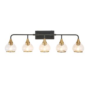 5-Light Black Bathroom Vanity Light, Modern Vanity Lighting Fixture for Bathroom